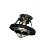 TERMOSTATO JEEP CHEROKEE 5.7 4G 12-15 (SATORI)