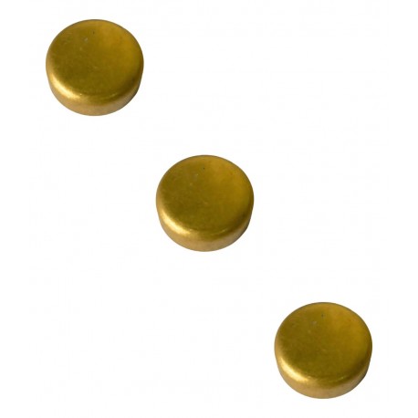 SELLO TAPON DE AGUA CAMARA SPARK(20MM) (BRONCE) (PROINSICA)