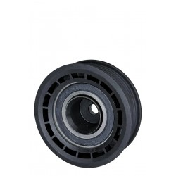 POLEA LOCA TENSOR CORREA UNICA CORSA 1.3 1.4 1.6 96-06/MERIVA/MONTANA 1,8 (ACANALADA) (DIAMON) TE-NY9049238