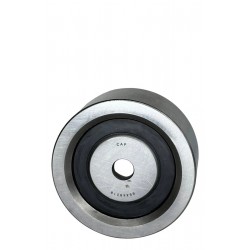 POLEA CORREA UNICA IVECO DAILY 59-12/60-12 (CAP)