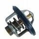 TERMOSTATO SPARK MATIZ (PEQUEñO) (DAEWOO) 94510182