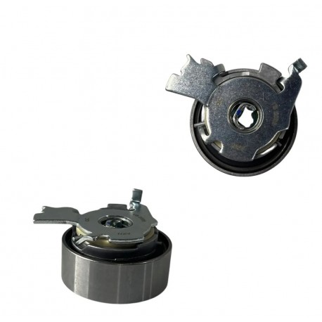 TENSOR CORREA TIEMPO FIAT PALIO/SIENA 1.8 (AXN)