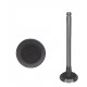 VALVULA CORSA 1.6 ADMISION (GM)(90215492) (7MM VASTAGO, LARGO 102, ASIENTO 38MM)
