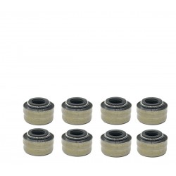 GOMA DE VALVULA JEEP GRAND CHEROKEE 4G 5.7 11-15 PAQ 8 (MOPAR)