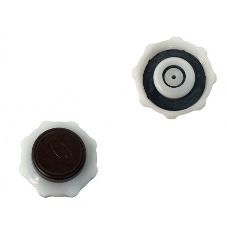 TAPA ENVASE AGUA LOGAN/TWINGO/CLIO/SYMBOL/MEGANE/KANGOO/SCENIC/LAGUNA/SANDERO (MGR)