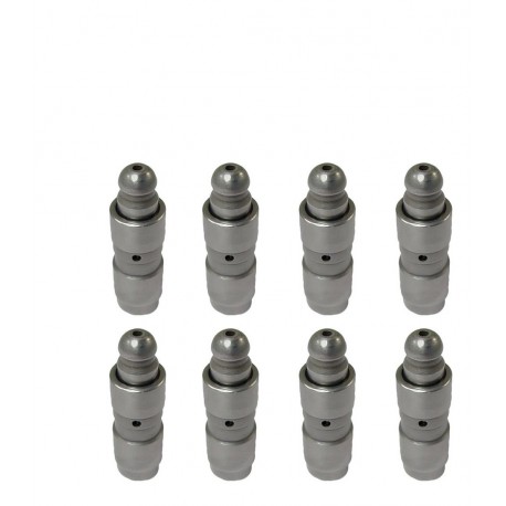 TAQUETES RENAULT CLIO/SYMBOL/MEGANE/KANGOO/SCENIC/SANDERO/LAGUNA/DUSTER 16V PAQ DE 8 HIDRAULICOS (MHW)