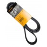 CORREA UNICA FIESTA BALITA/POWER/MAX/MOVE/KA/ECOSPORT 1.6 2.0 CON AIRE ACONDICIONADO (6PK2250) (CONTINENTAL)