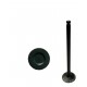 VALVULA TERIOS 1.3 1.5 ADMISION (TOYOTA) (5MM VASTAGO, LARGO 88.3MM, ASIENTO 26MM)