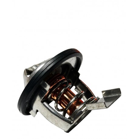 TERMOSTATO LUV DMAX 3.5 V6 (ANCOV)