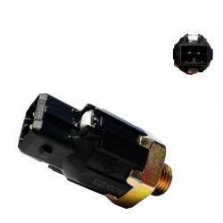 SENSOR VALVULA DETONACION LOGAN/TWINGO/CLIO/SYMBOL/MEGANE/KANGOO/SCENIC/SANDERO/LAGUNA/DUSTER (MTE-THOMSON) 70020