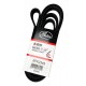CORREA UNICA SILVERADO/BLAZER 96-98/GRAND BLAZER/CHEYENNE 3500/CAPTIVA/REY CAMION (6PK2345) (GATES)