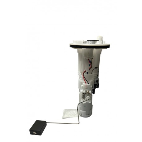 BOMBA GASOLINA COMPLETA TERIOS BEGO 1.5 (DKIG)