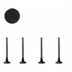 VALVULA WAGON R ESCAPE (TRW) (5.5MM VASTAGO, LARGO 81MM, ASIENTO 21.5MM)