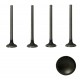 VALVULA ORLANDO 2.4/ASTRA 2.2 ADMISION (TRW) (6MM VASTAGO, LARGO 102.5MM, ASIENTO 35MM)