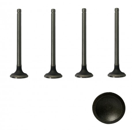 VALVULA ORLANDO 2.4/ASTRA 2.2 ADMISION (TRW) (6MM VASTAGO, LARGO 102.5MM, ASIENTO 35MM)
