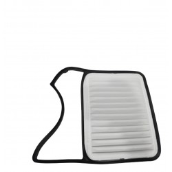 FILTRO AIRE MOTOR TERIOS BEGO 08-12 (RAFFKO)