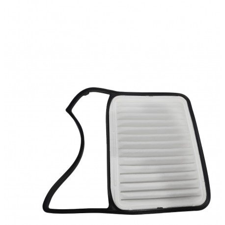 FILTRO AIRE MOTOR TERIOS BEGO 08-12 (RAFFKO)