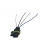 CONECTOR BOMBA GASOLINA COMPLETA CLIO/LOGAN/MEGANE/SYMBOL/TWINGO/KANGO (MORUCH)