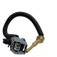 SENSOR VALVULA TEMPERATURA FOCUS ZETEC 2.0 (HARFON) TS431