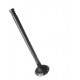 VALVULA ESCAPE FIAT PALIO / SIENA 1.3 16V FIRE PUNTA LARGA (CON TRATAMIENTO AL CARBONO)(MHW) (6MM VASTAGO, LARGO 96.2MM, ASIENTO