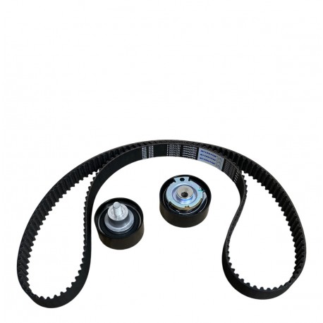 KIT DE TIEMPO O CADENA ARAUCA/X1/QQ6 1.3 (TENSOR, POLEA Y CORREA 167 DIENTES) (MICHELIN)
