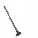 VALVULA TWINGO 1.2 16V ESCAPE (ANCOV) (5.5MM VASTAGO, LARGO 112.5MM, ASIENTO 22MM)