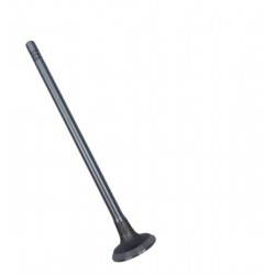 VALVULA TWINGO 1.2 16V ESCAPE (ANCOV) (5.5MM VASTAGO, LARGO 112.5MM, ASIENTO 22MM)