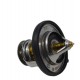 TERMOSTATO GRANDE COMPASS CALIBER PATRIOT COMPASS (MOPAR)