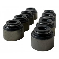 GOMA DE VALVULA GRAND VITARA 2.0/XL5 2.0-2.4/XL7 2.7/J3 PAQ 8 (MHW)
