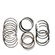 ANILLOS STD EXPLORER 4.6/TRITON 5.4 FX4 (MAHLE)