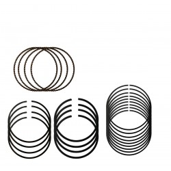 ANILLOS STD COROLLA SAPITO PANTALLITA BABY CAMRY INYECCION (TP)