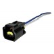CONECTOR 2C BOBINA FORD FOCUS ECOSPORT 2.0L (MOTTA)